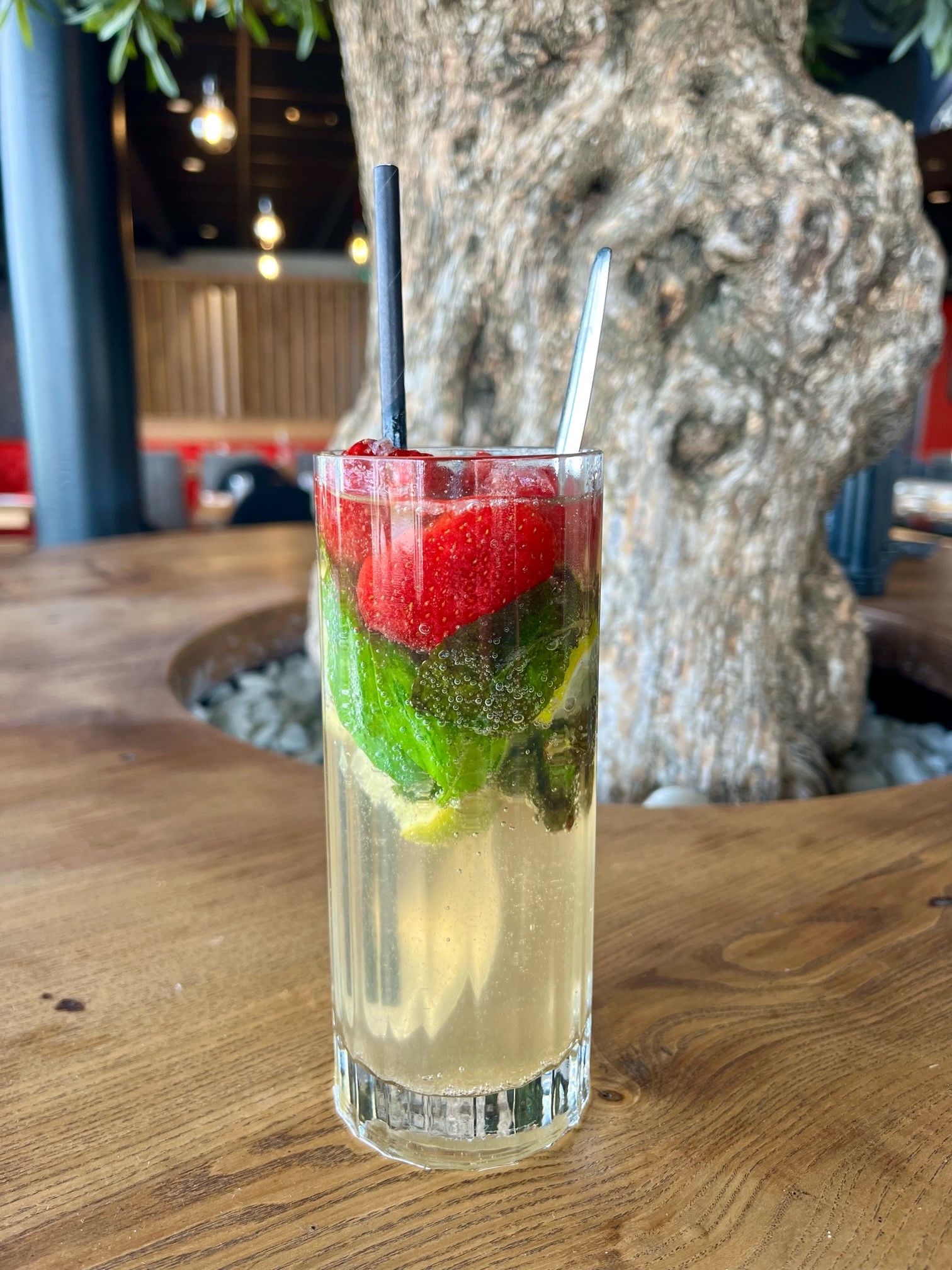 mojitop